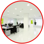 Effective Commercial Pest Management Services in Noida