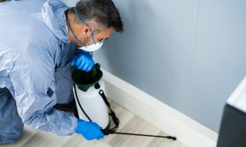 Pest Control Exterminator Man Spraying Pesticide